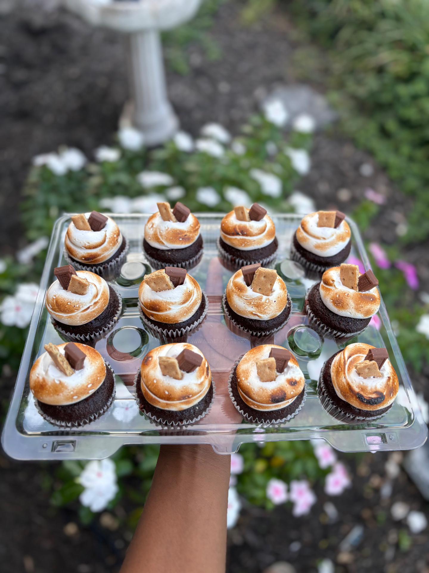 A tray of a dozen chocolate s'mores cupcakes topped with torched toasted marshmallow meringue, a graham cracker piece and a square of milk chocolate, held outdoors above a flower bed.