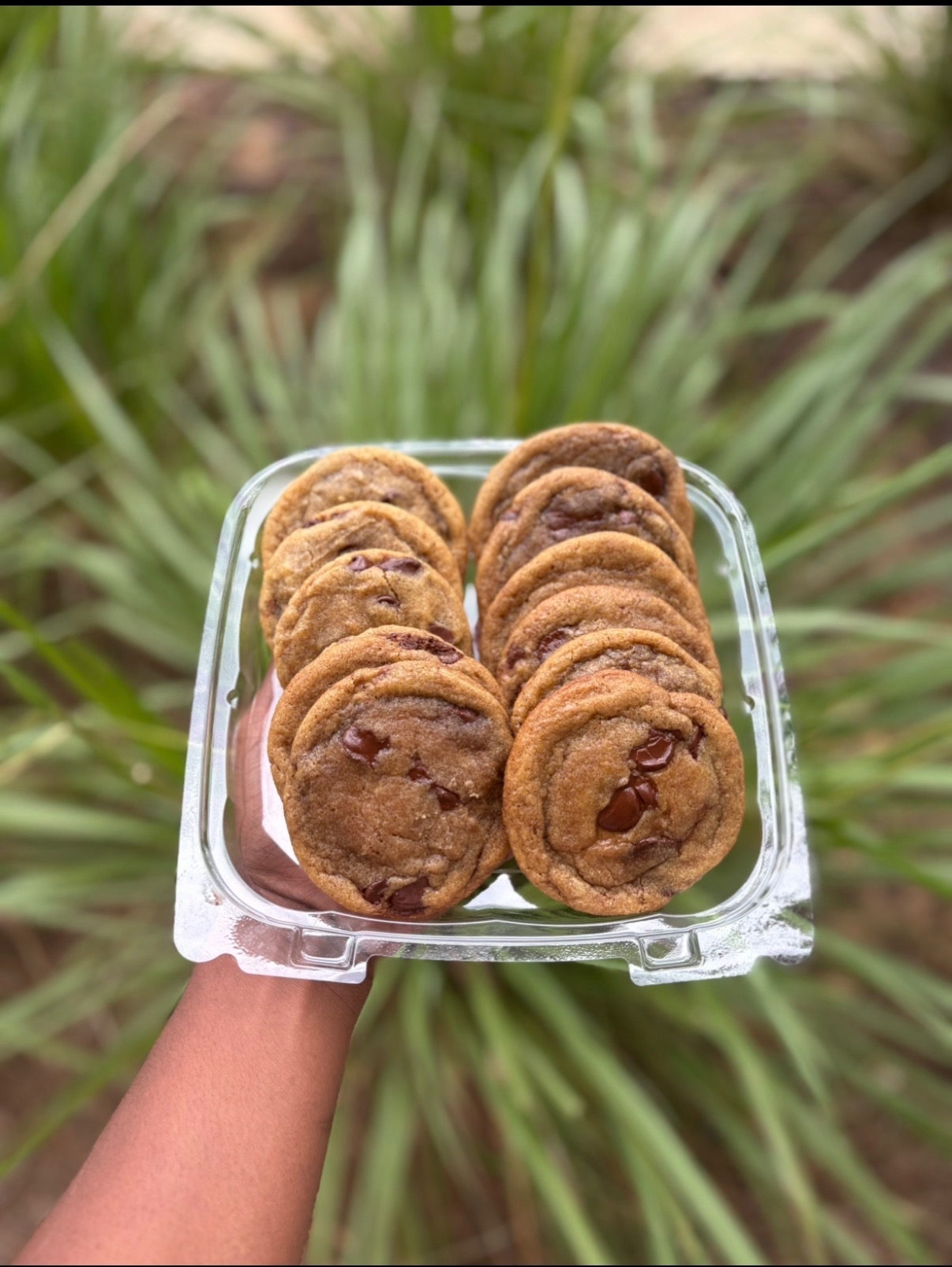 A clear bakery box packed with a dozen thick chocolate chip cookies with melted chocolate pools, held outdoors in front of tall green grasses.
