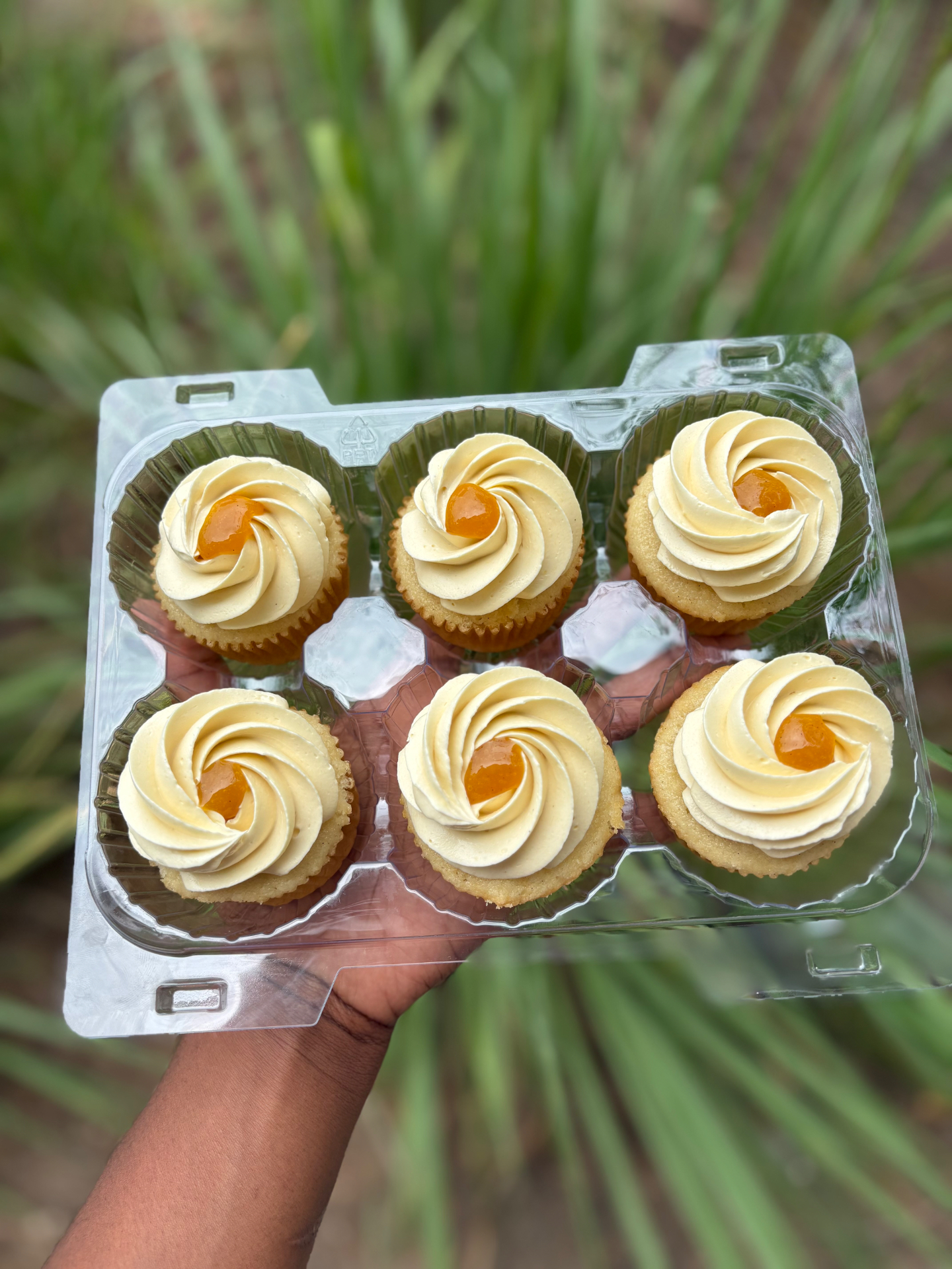 A clear six-pack box of vanilla cupcakes topped with swirled buttercream and a spoonful of golden fruit curd in the centre of each swirl, held up in front of palm fronds.