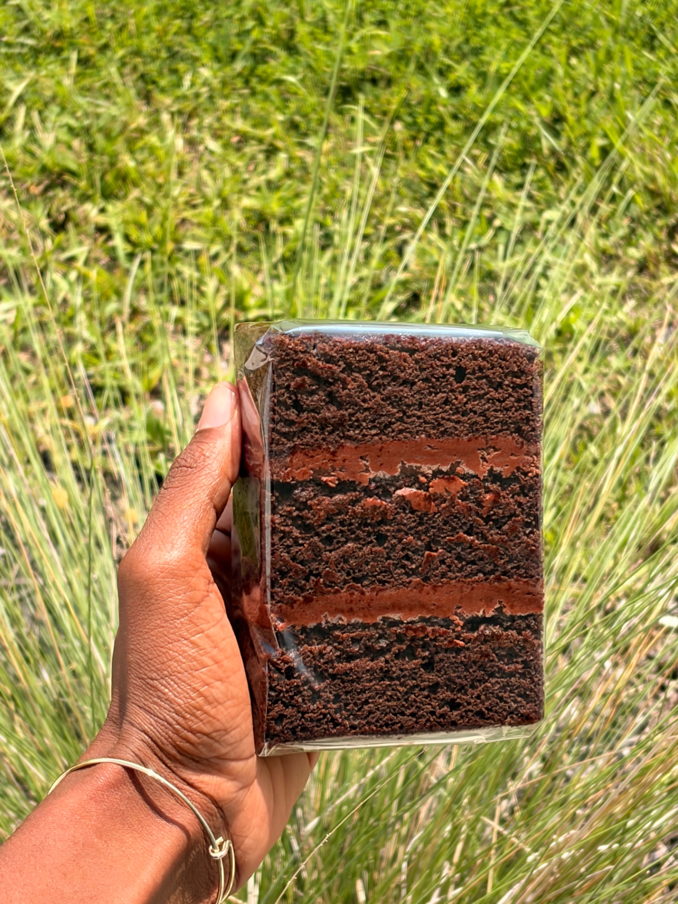 A tall wrapped slice of triple-layer chocolate cake with thick chocolate fudge frosting between each layer, held up in a sunny green field.